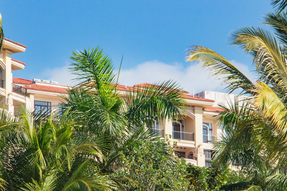 Sunny day view of a tropical resort building surrounded by lush palm trees against a clear blue sky